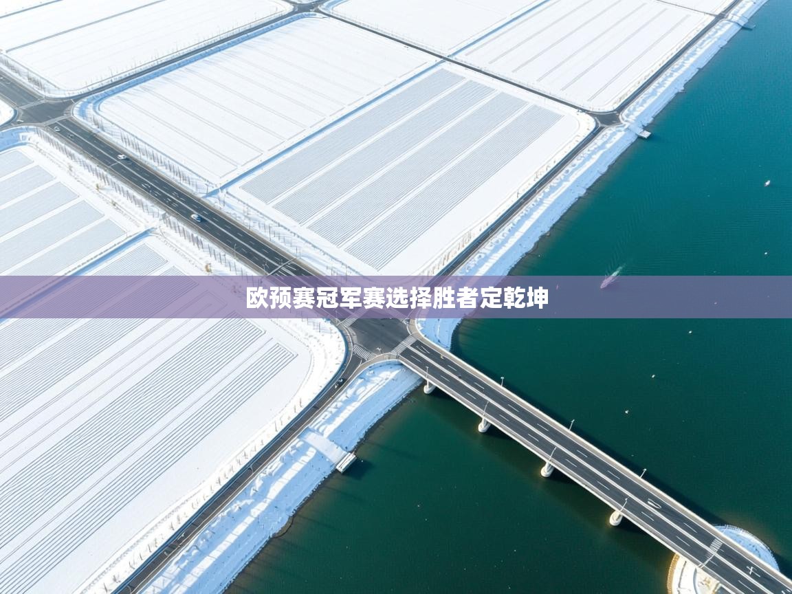 欧预赛冠军赛选择胜者定乾坤  第2张
